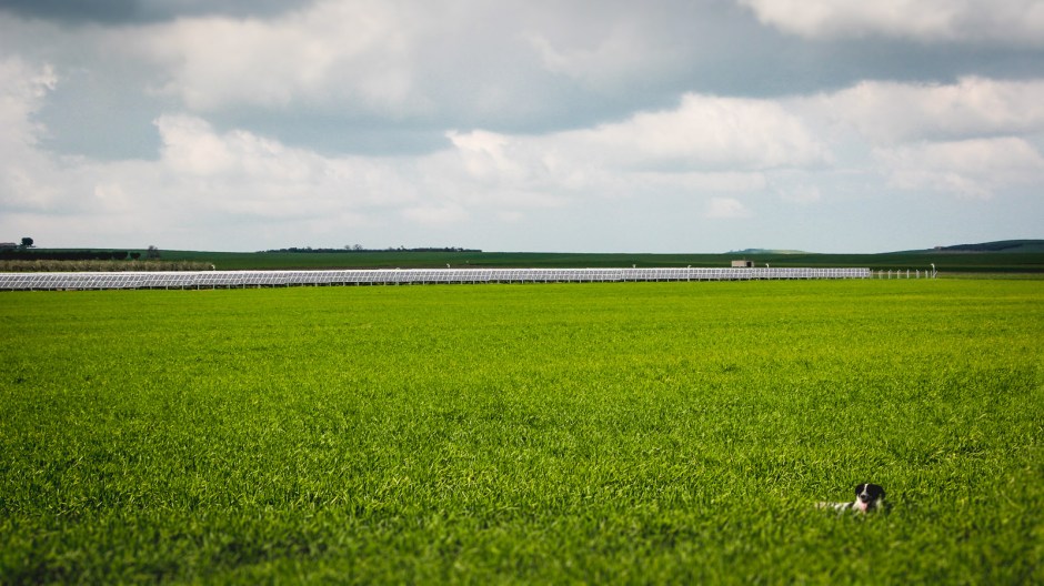 Smile Capital Website HR-mp-20110322-IMG_2966