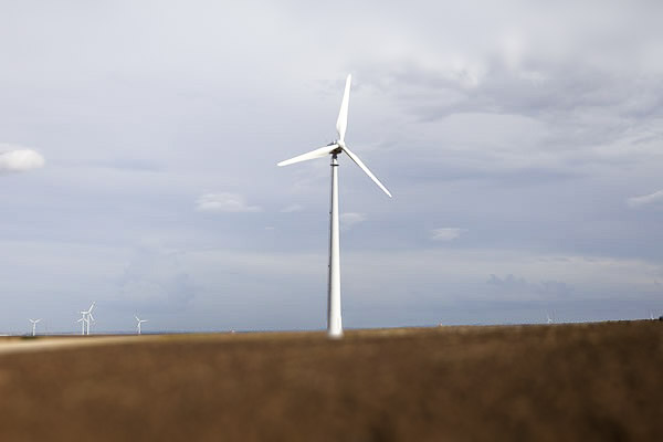 Smile Capital Website Tozzi-untitled-20131030-4962_6975_132545